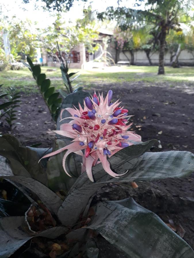 Refugio Das Bouganvillea Igarassu Esterno foto